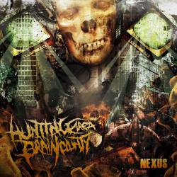 Hunting Area Brain County : Nexus